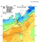 やっと来ました。初カツオ
