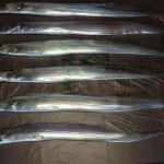 タチウオ釣り、2回目