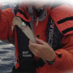 初ヤリイカ釣り