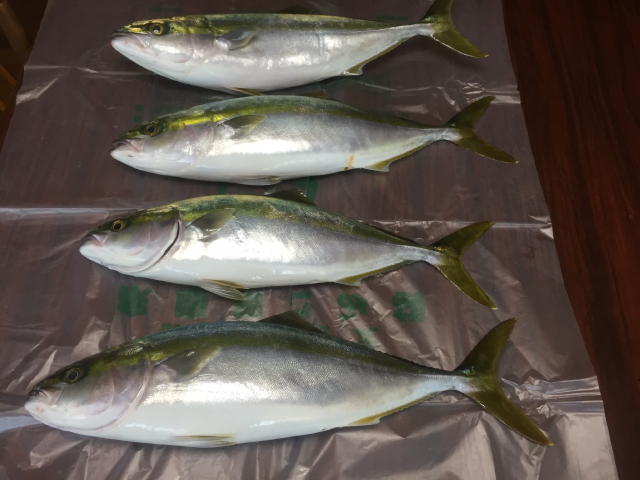 01bf60eeb2194abcf605b6fb133df8c4b528e74a3f