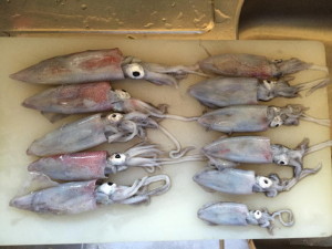 01e50965a6a4c6775db97cd050044c83e767638028_00001