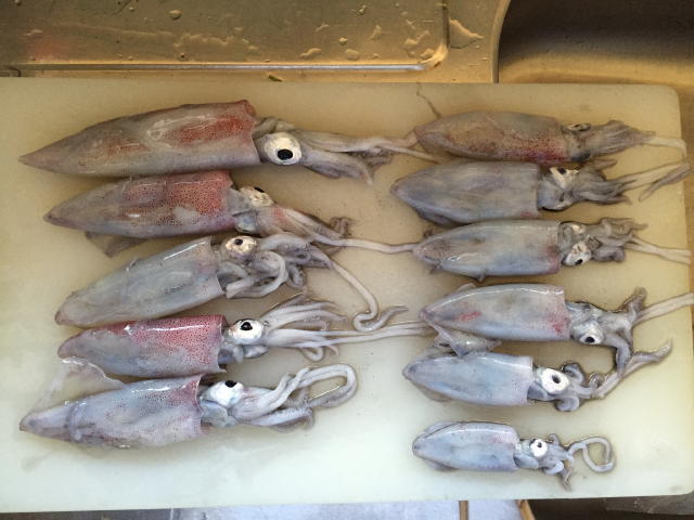 01e50965a6a4c6775db97cd050044c83e767638028_00001