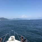 真鯛ののっこみ