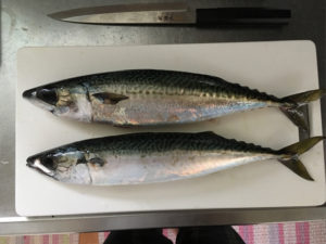 015fe825d5f734923ebd315bfda