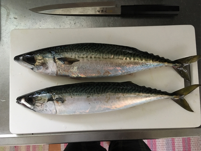 015fe825d5f734923ebd315bfda