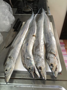 018674e0cfca40acbc7f99f46f8