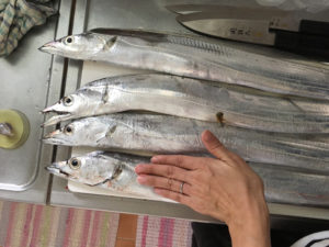 019ab4569e3b5904e9ab56513c6