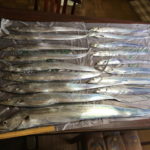 初めてのドラゴン