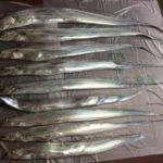 タチウオ夜釣り