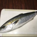 初モノを頂きました。