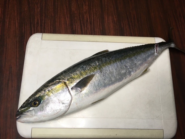 01a474725cc7f370c6ffb6181f2866afcc7ce62a29