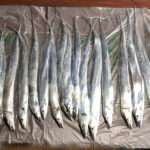 9/28 タチウオ夜釣り