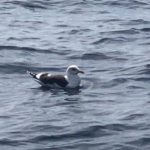 2020年、初釣り　2020/03/01