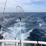 2021年6月12 視察