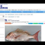 2021年6月13日　お魚図鑑をページトップメニューに配置しました。