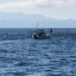 2021年7月22日　トロリ