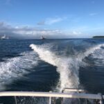 2022年8月31日　港内一周