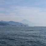 2023年6月8日　久しぶりにぶら～り