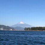 2023年11月26日、今日の清水港