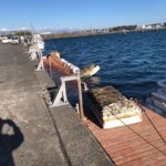 2024年1月14日、右舷オルタネーター新品交換