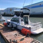 2024年3月29日　悪夢、港湾怠慢による桟橋首吊り 19日目　梯子設置、本桟橋修理、台風まがいの低気圧