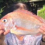 2024年10月19日　家内、タイラバで初の鯛釣る