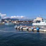 2024年11月13日　1級小型船舶免許の更新