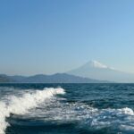 2025年4月12日　真鯛の、のっこみならずにズッコケ。。。