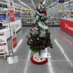 2025年11月30日　貝落とし走行